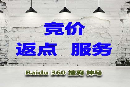 SEM服务在本地化营销中的应用案例